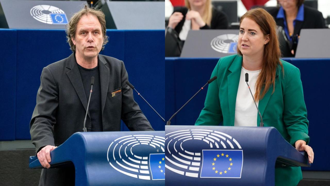 Pär Holmgren (MP) och Emma Wiesner (C) var under tisdagens omröstning inte eniga om hur EU:s natur ska fixas.