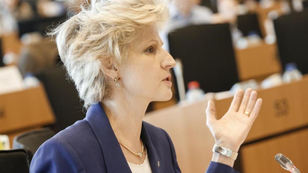 Anna Maria Corazza Bildt i EU-parlamentet