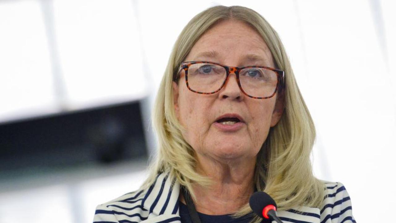 – Det är klart att jag har hopp men det blir en ganska lång och komplicerad väg, säger Marita Ulvskog (S) om reformeringen av utstationeringsdirektivet.