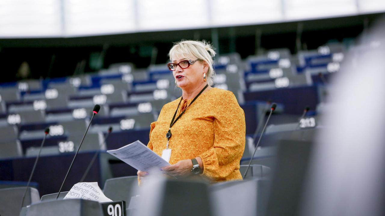 Soraya Post, Europaparlamentariker för FI.
