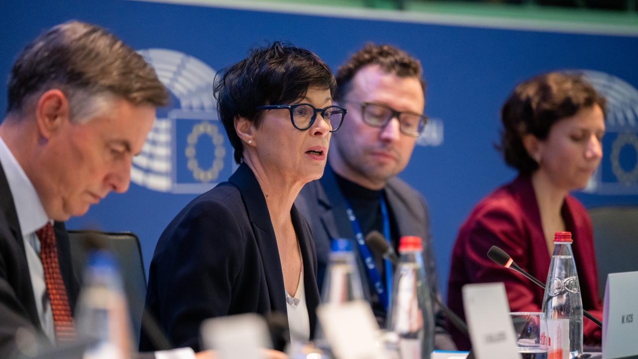 EU:s utvidgningskommissionär Marta Kos presenterade förslaget i parlamentets utrikesutskott på tisdagen.