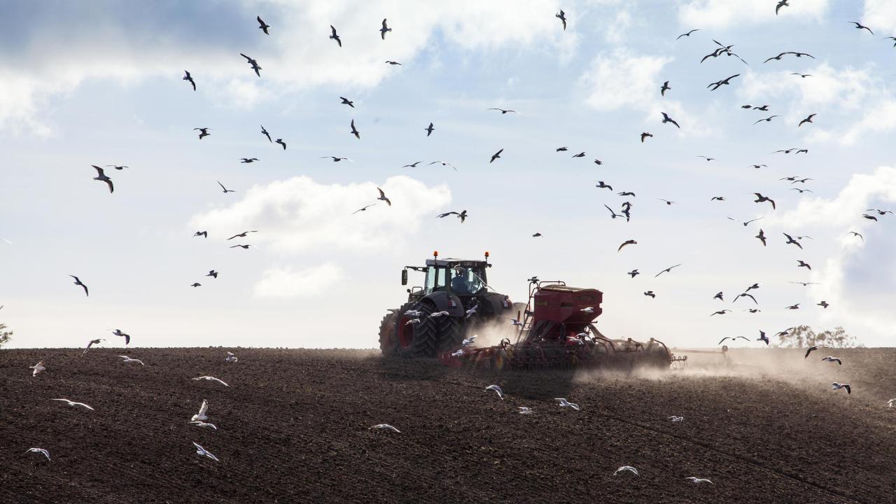 Fel i Jordbruksverkets it-system har lett till att lantbrukare antingen kunnat få för mycket, för lite eller för sent utbetalt EU-stöd. Arkivbild.