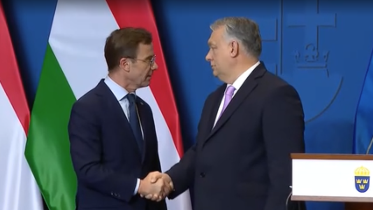 Sverige och Ungern ser nu ut att gå vidare i sin relation när Ungern på måndag säger ja till svenskt Natomedlemskap. Att länderna på flera sätt står långt ifrån varandra  inte minst när det gäller demokrati och rättsstat är i sammanhanget inget hinder.