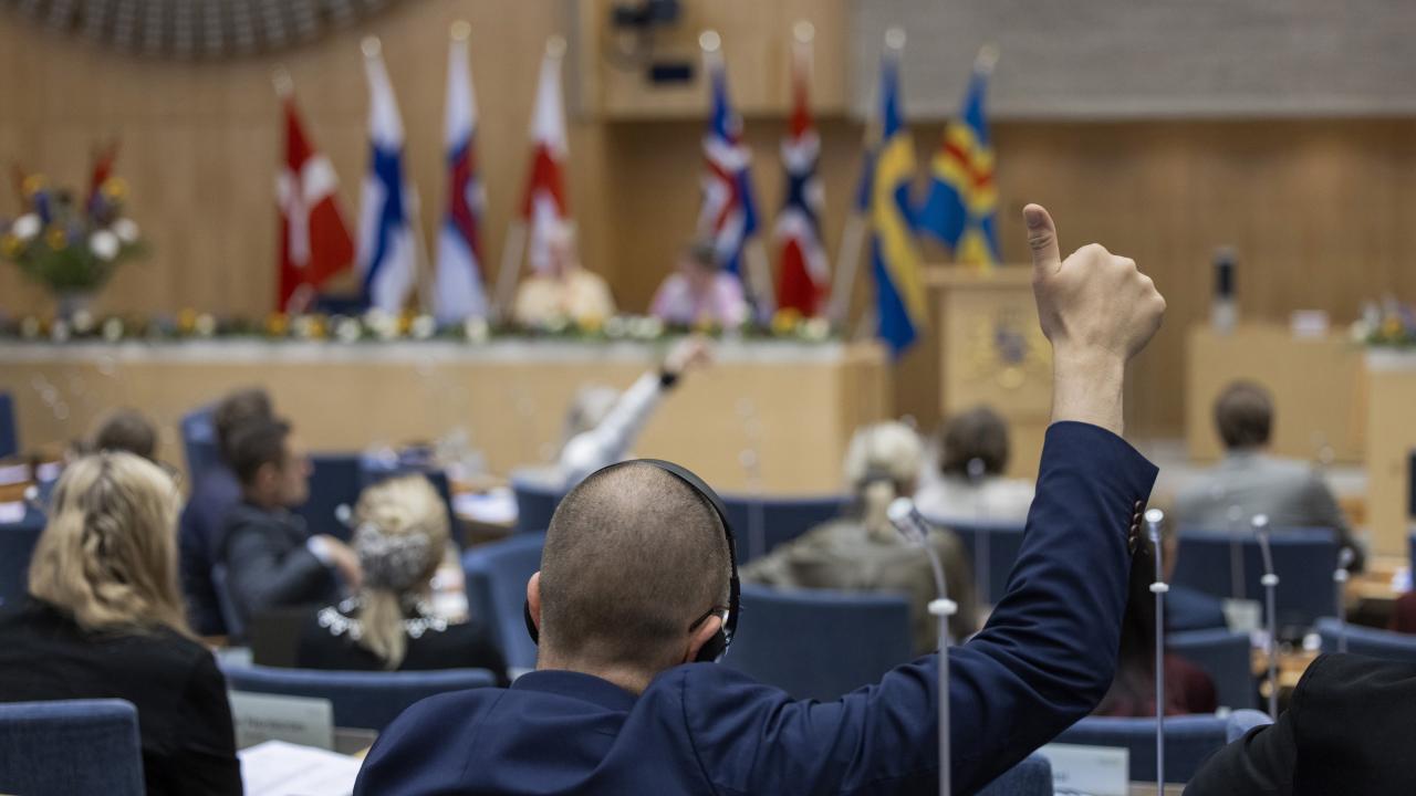 Sverigedemokraterna har sedan 2022 bytt sida i EU-politiken och är det minst kritiska riksdagspartiet utanför regeringen. (Personen på bilden har inget med artikeln att göra.)