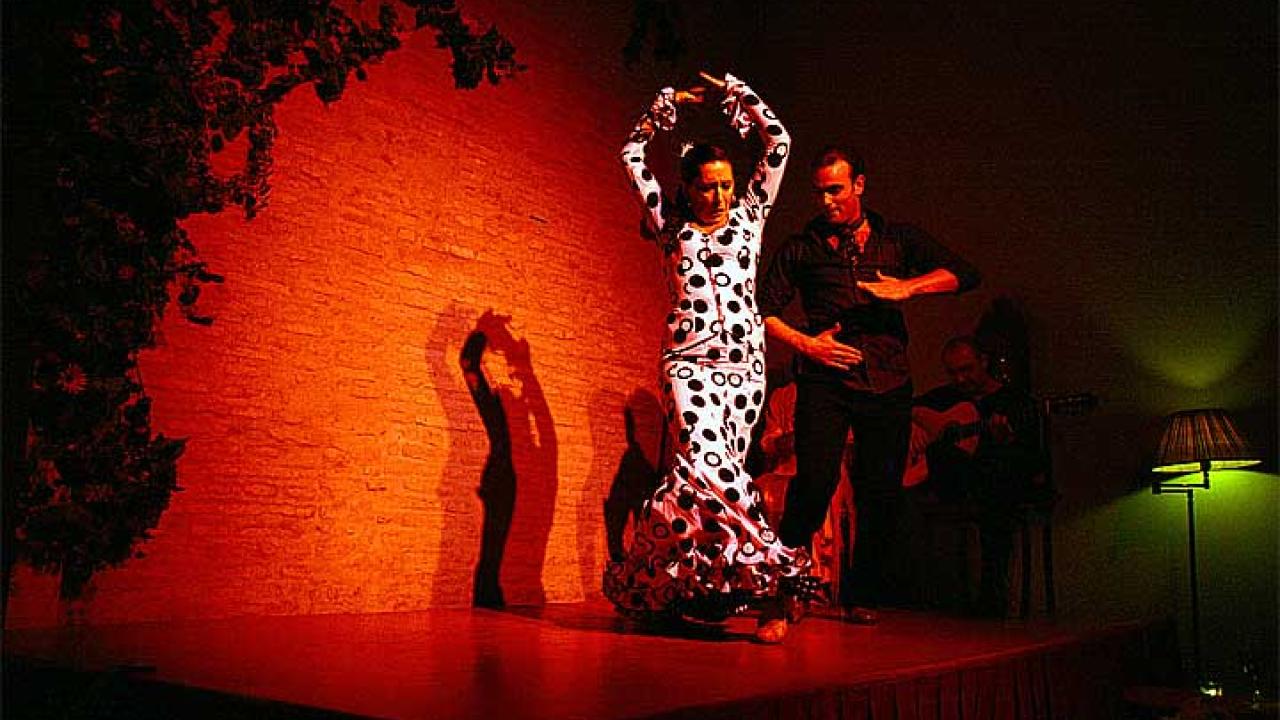 Arkivbild. Flamenco.