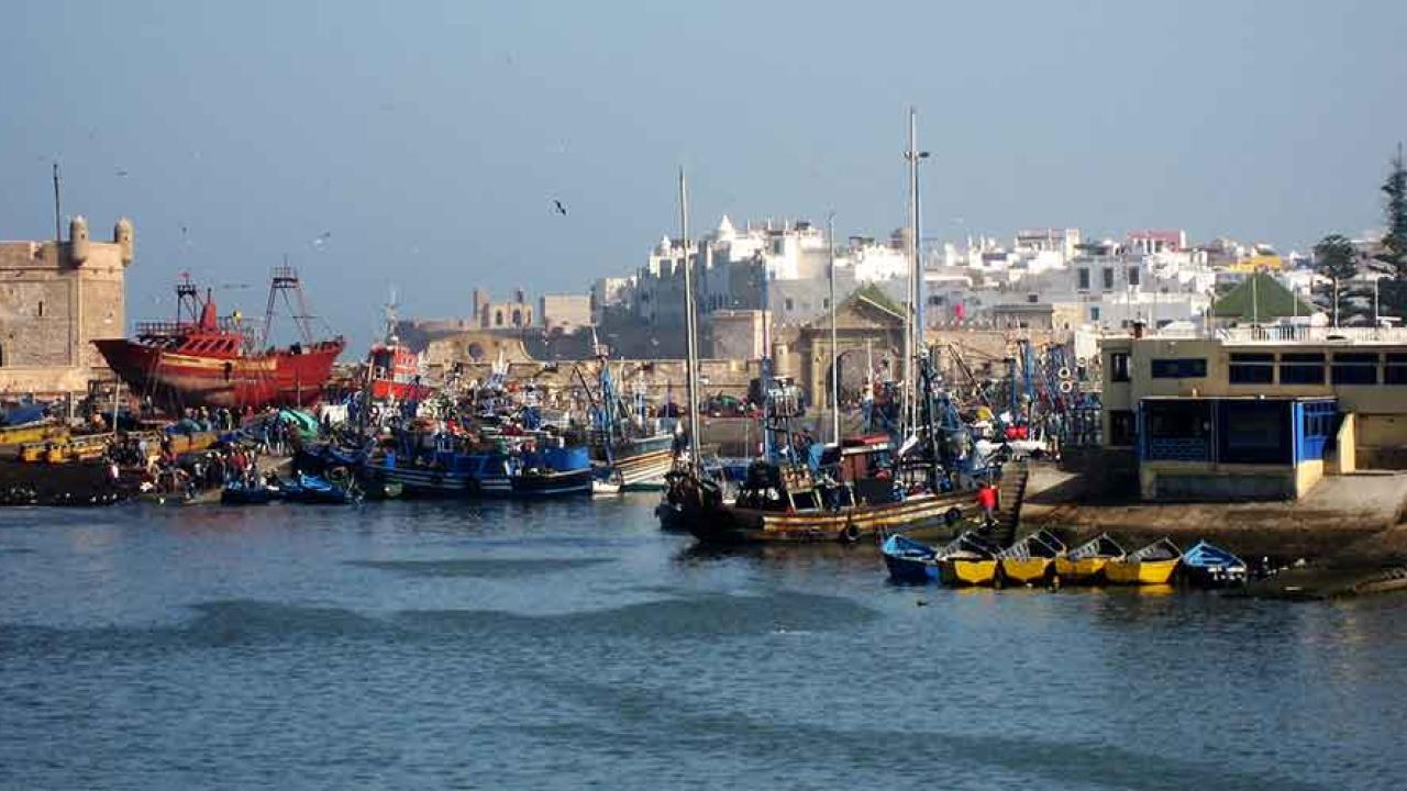 126 EU-registrerade fiskefartyg ska få dra sina nät utanför den marockanska kusten om avtalet får slutligt klartecken av EU-parlamentet 10 december. Arkivbild.