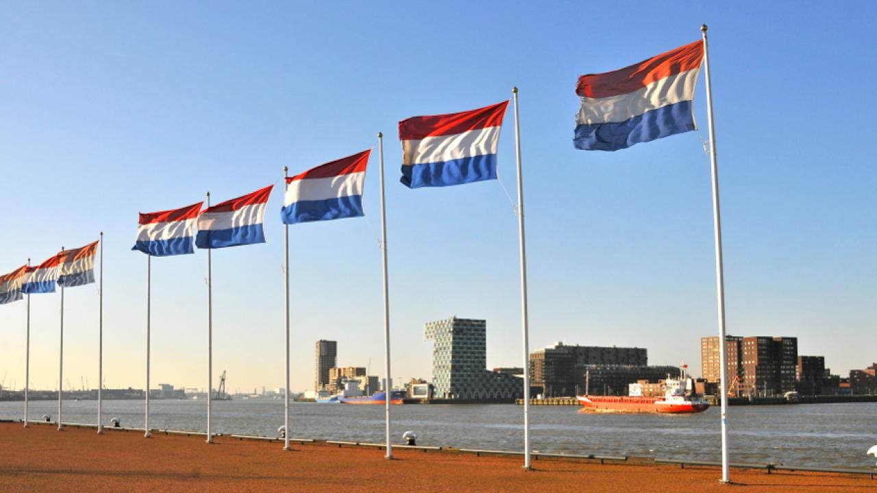 I Nederländerna har under de senaste 200 åren bara hållits en folkomröstning. Arkivbild.