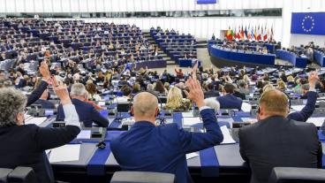 Samtliga svenska ledamöter i EU-parlamentet har röstat för resolutioner som kräver reformer, men de har haft olika åsikter om utformningen. 