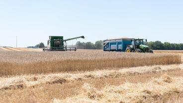 Först 2023 väntas den nya jordbrukspolitiken träda i kraft – två år för sent. Arkivbild.
