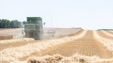 En femtedel av grödor och tre femtedel av kött- och mjölkprodukter som konsumeras i EU importeras, enligt forskarna. Arkivbild.