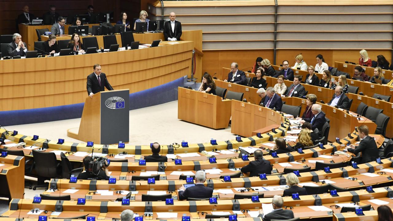 Statsminister Stefan Löfven (S) lyfte i sitt tal i Europaparlamentet fram betydelsen av att stå upp för EU:s gemensamma demokratiska värderingar.