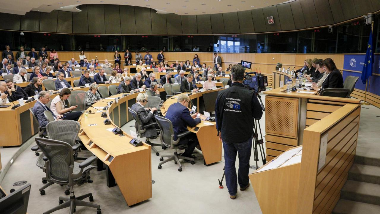 Mycket av arbetet i EU-parlamentet sker i utskotten, på bilden utrikesutskottet som är ett av de största. Arkivbild. Mycket av arbetet i EU-parlamentet sker i utskotten, på bilden utrikesutskottet som är ett av de största. Arkivbild.