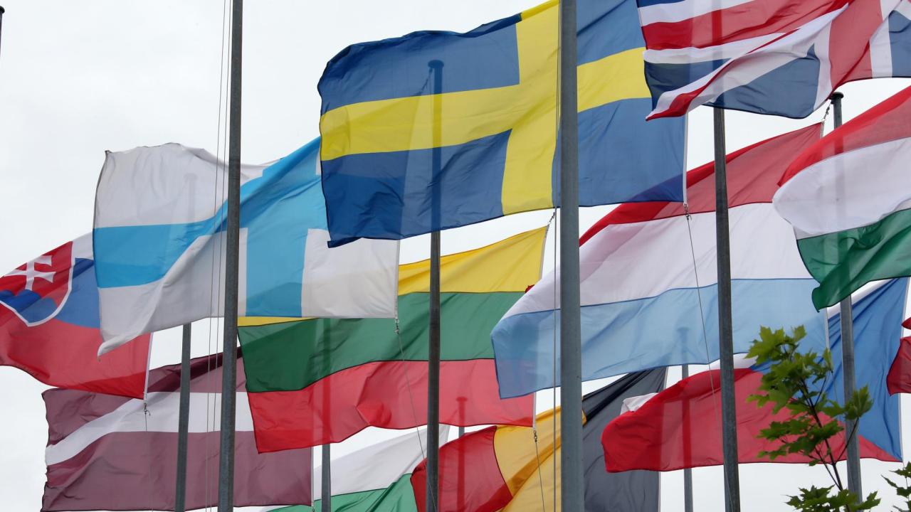Sverige och Nederländerna tillhör de mest inflytelserika mindre EU-länderna. Arkivbild.
