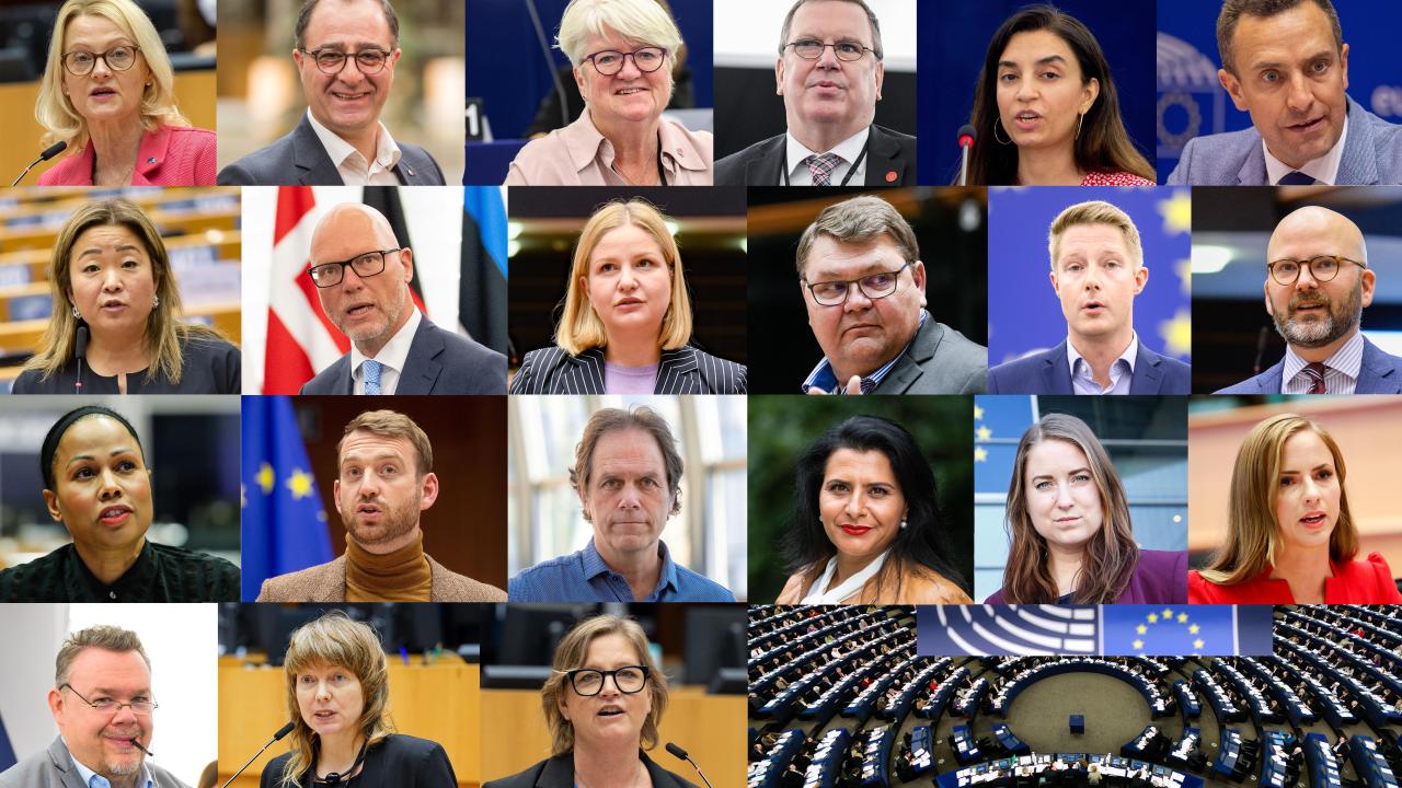 De svenska EU-parlamentarikerna 2023.