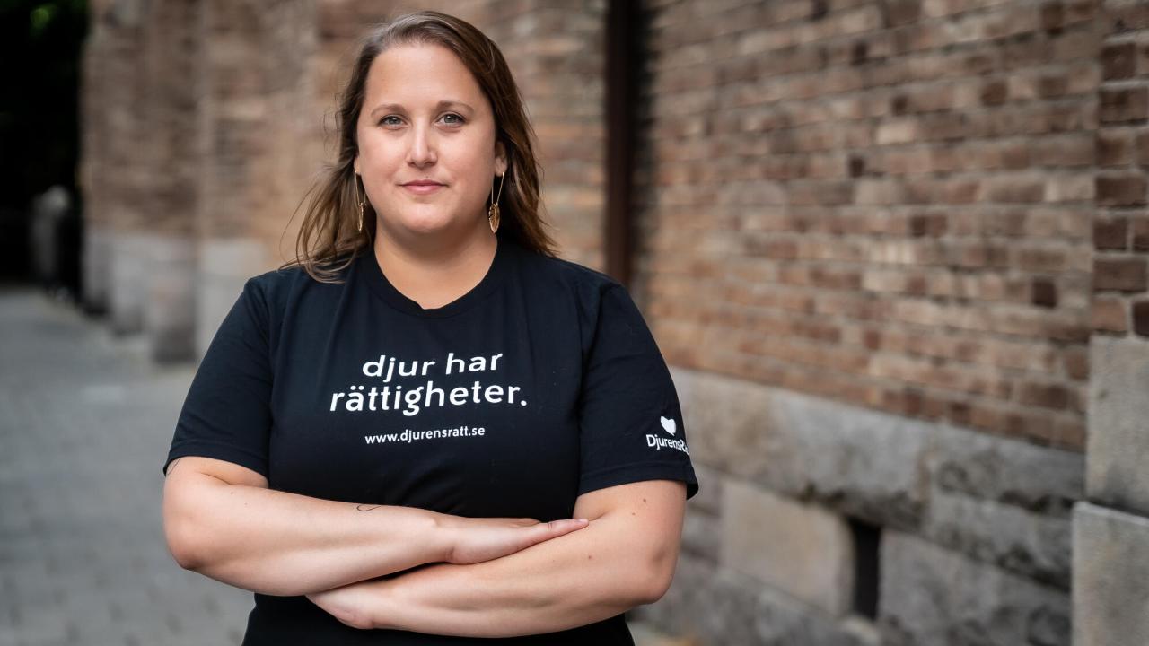 Djurens rätt