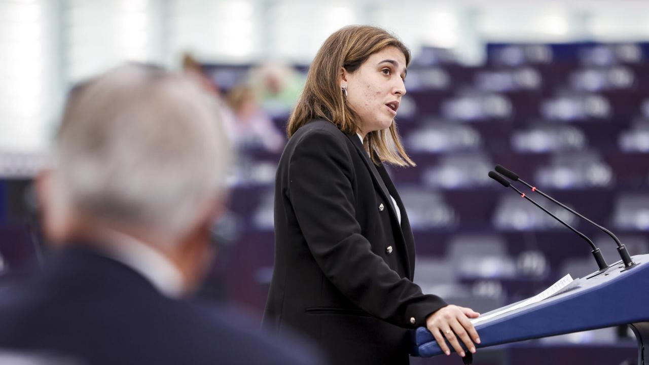 Den spanska socialdemokraten Alicia Homs Ginel har varit ansvarig ledamot i EU-parlamentet för den nya riktlinjerna för nationell sysselsättningspolitik. 