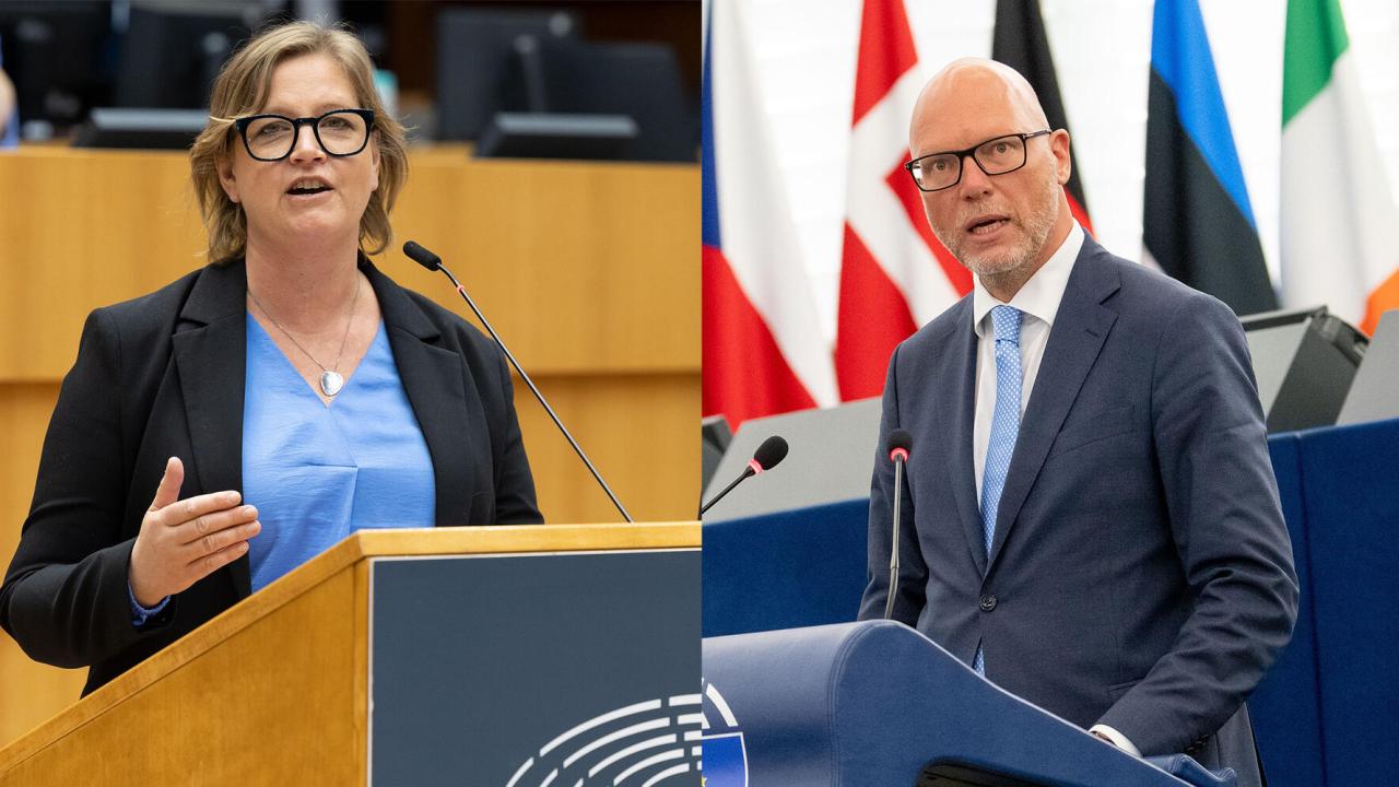 EU-parlamentariker Karin Karlsbro (L) och Jörgen Warborn (M) sitter båda i EU-parlamentets utskott för internationell handel.
