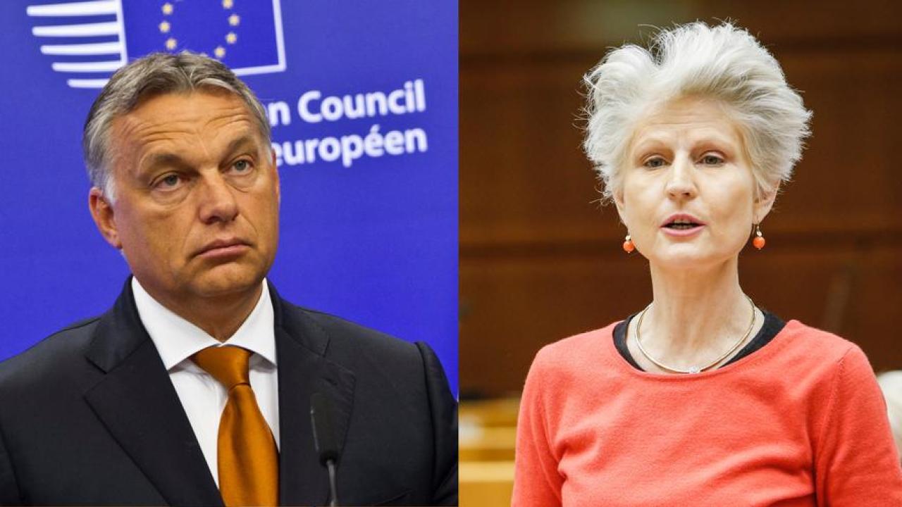 Viktor Orbáns parti är tillfälligt suspenderat från konservativa EPP men Moderaternas Anna Maria Corazza Bildt tycker att mer måste göras för att Fidesz inte ska ha makt i gruppen.