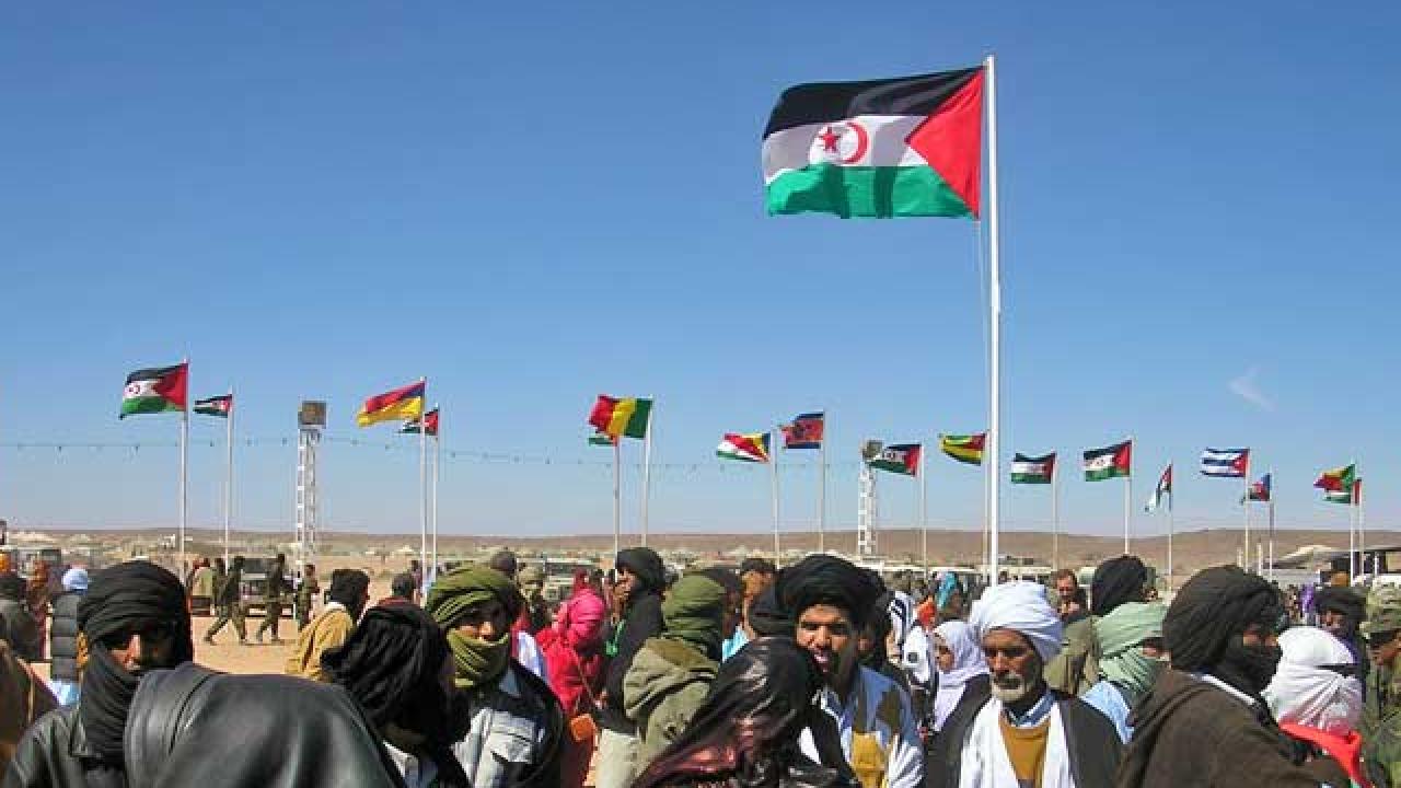 Västsahara. Nu krävs självkritik och rannsakan av EU och dess medlemsländer, skriver Olle Schmidt.