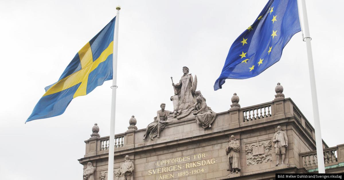 Færre protesterer mot Riksdagens EU-politikk