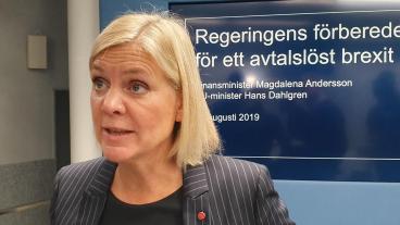 Finansminister Magdalena Andersson (S) uppmanar företagen att förbereda sig på en hård brexit senare i höst.