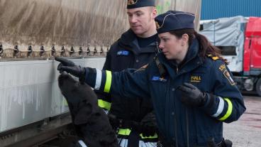 Efter hård kritik från EU-inspektörer måste svensk gränspolis och Tullverket förbättra gränskontrollerna.