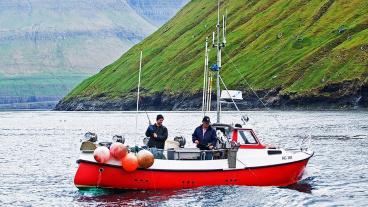 Hälften av landets Färöarnas ekonomi utgörs av fiske och nästan all export. Arkivbild.
