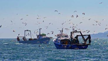 Det folkrättsligt kontroversiella fiskeavtalet med Marocko är också en dålig ekonomisk affär för EU.