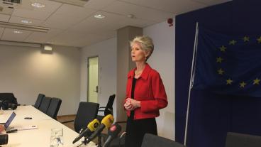 Europaparlamentarikern Ann Maria Corazza Bildt begär att Moderaterna utreder nomineringsprocessen till EU-valet 2019.