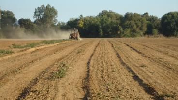 Återanvänt avloppsvatten kan bli räddningen för jordbruket när torka drabbar Europa. 