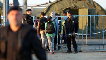 Migranter går över gränsen från Serbien till Kroatien.